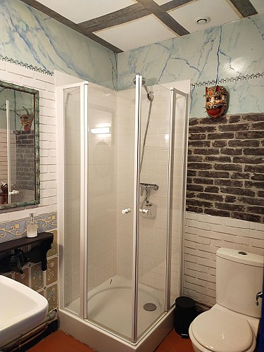 Salle d'eau avec douche et w.c.