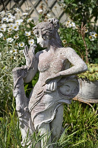 La saison des marguerites au jardin yuccas