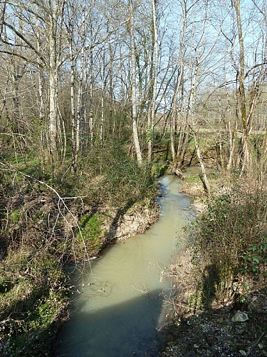 Ruisseau 1