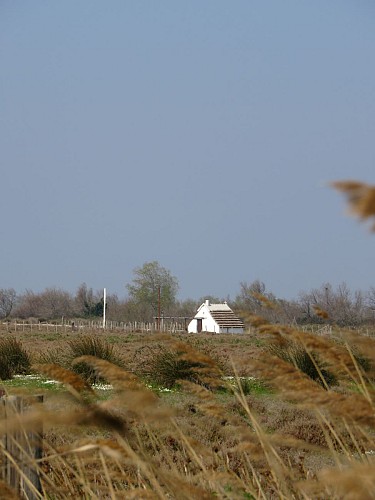 The gardian's hut