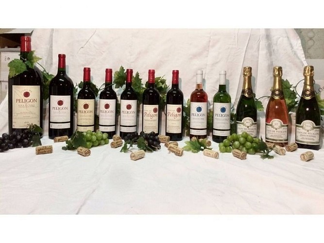 Château Clos de Peligon