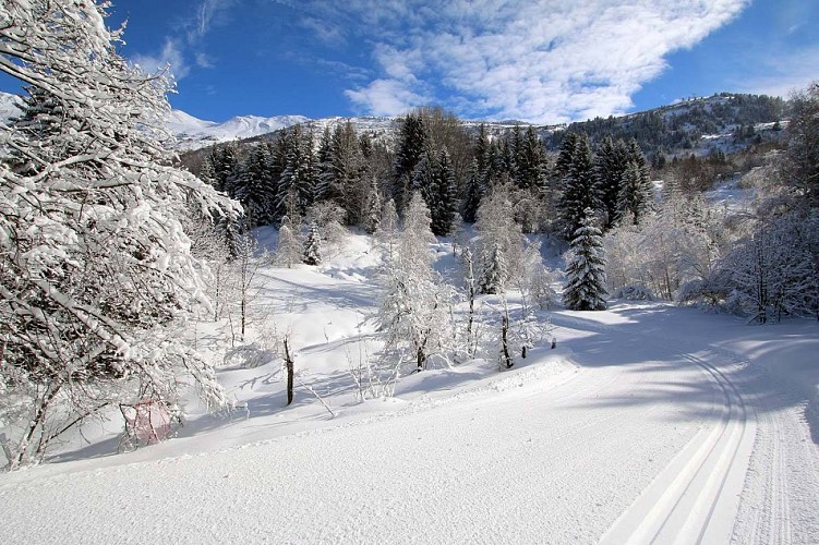 Maison de la Montagne