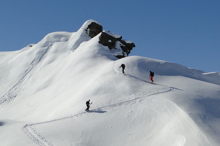 Tarentaise Tours - Bureau des guides