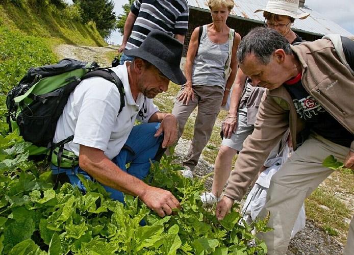 Patrick Loste - Acc. en Montagne - Alpnature