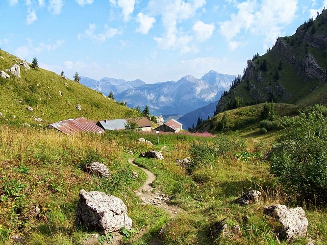 Patrick Loste - Acc. en Montagne - Alpnature