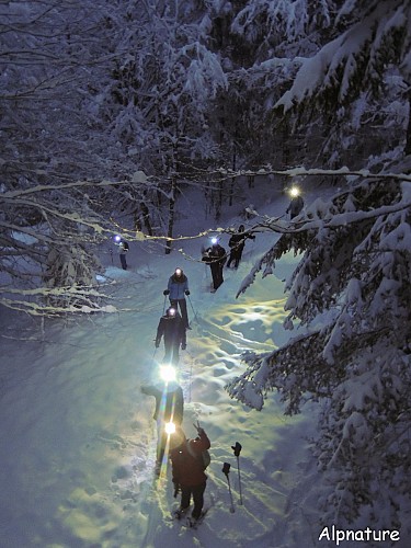 Patrick Loste - Acc. en Montagne - Alpnature