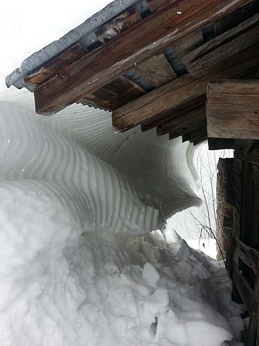 Berg- und Naturbüro von La Plagne Montchavin-Les Coches