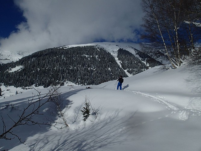 Berg- und Naturbüro von La Plagne Montchavin-Les Coches