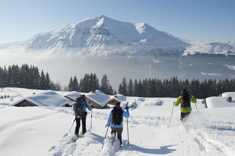 FRENCH CROSS-COUNTRY SKI SCHOOL