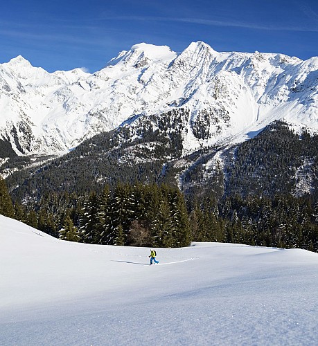 FRENCH CROSS-COUNTRY SKI SCHOOL