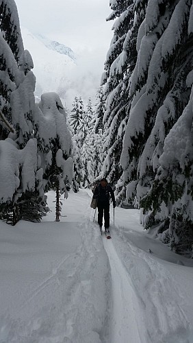 Bureau des guides de La Plagne