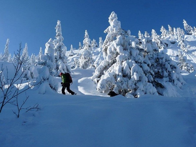 L'En-Hôt - Accompagnateur en montagne