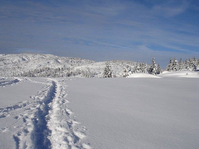 L'En-Hôt - Accompagnateur en montagne