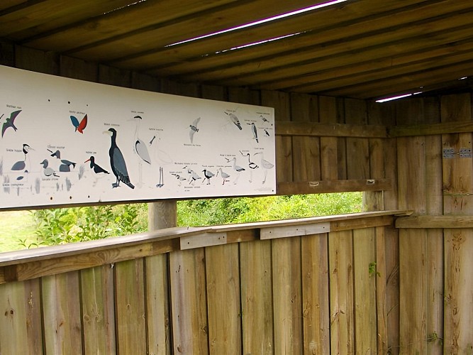 Parcours découverte des oiseaux de l'estuaire de l'Orne