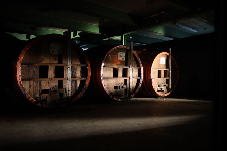 20230612142205_IMG_6076