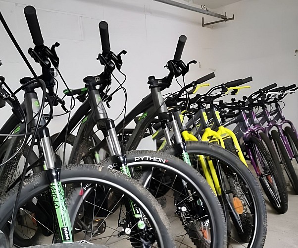 Location-de-cycles-Base-de-loisirs-de-la-Dathee--TIS---1-