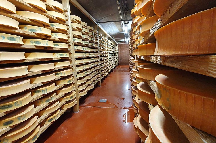 Visit the Paccard cheese-aging cave