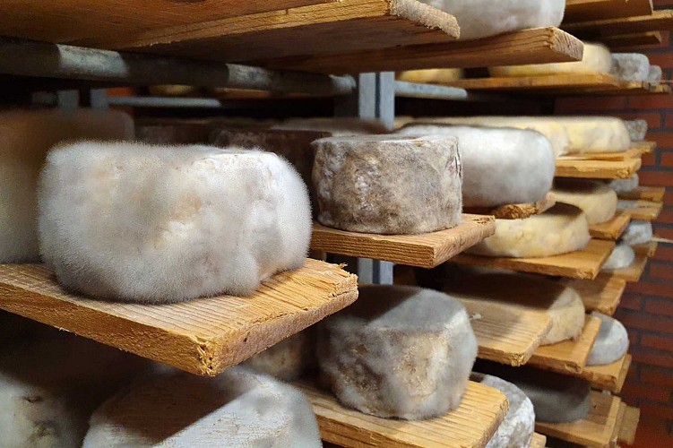 Caves d'affinage Paccard - Les Fromages du Fermier