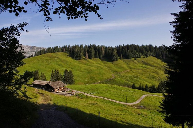 Plateau de Beauregard