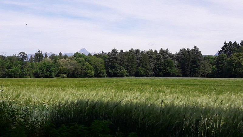 Arboretum de Ripaille