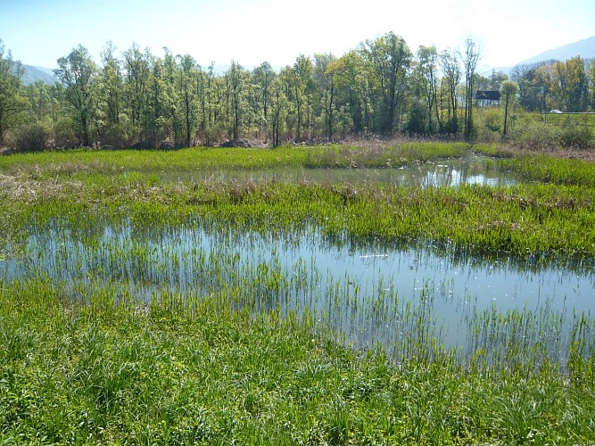 Site naturel des Iles de Vougy