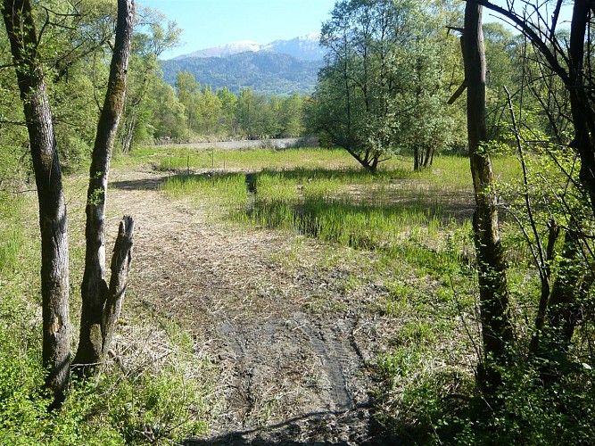 Site naturel des Iles de Vougy