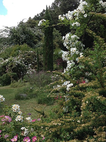 Rose garden in Berty