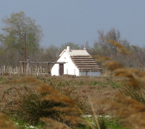 Gardian's hut