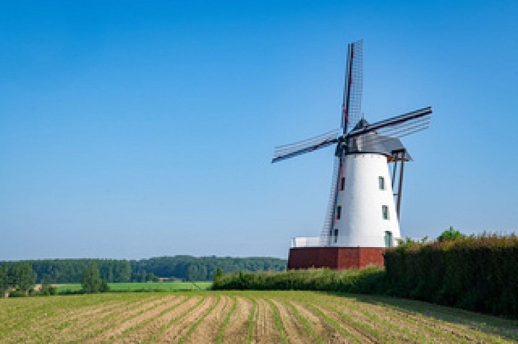 Le moulin de Hondzocht