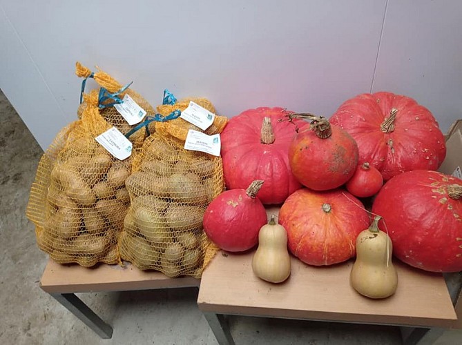 Légumes en libre service