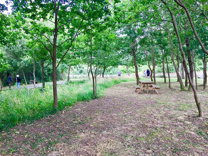 AIRE DES CHÊNES VERTS - AIRE DE STATIONNEMENT ET DE SERVICE CAMPING-CAR PRIVÉE A BREM/MER