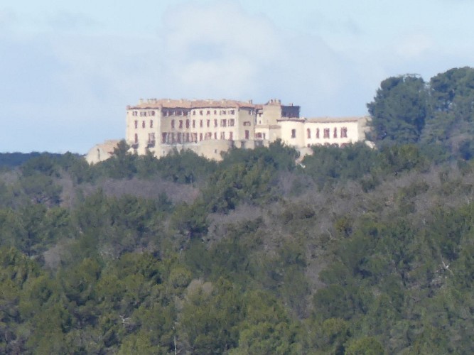 La Verdière, le château