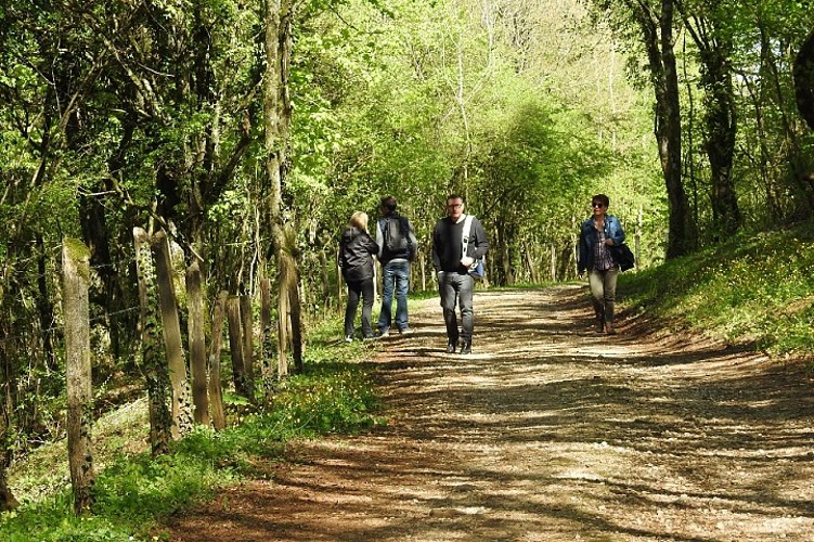 Cita chemin de randonnée