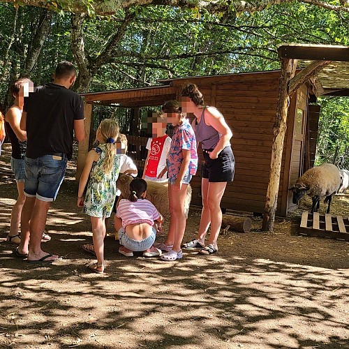 camping du bois coquet (5)