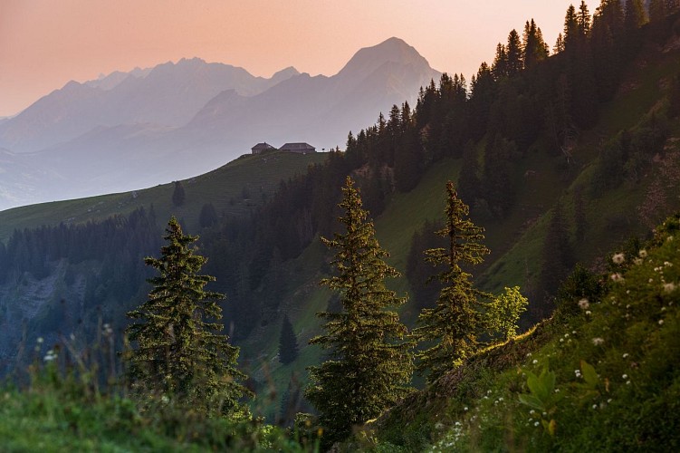 Réserve nationale de chasse et de faune sauvage