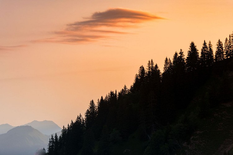 Riserva nazionale di caccia e fauna selvatica