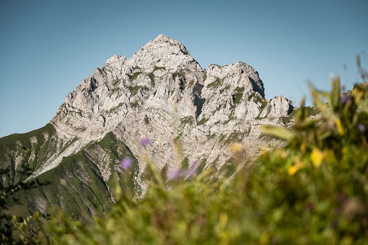 Riserva nazionale di caccia e fauna selvatica