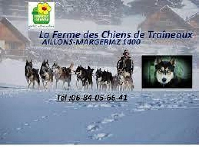 Aillons-Margeriaz sled dogs farm