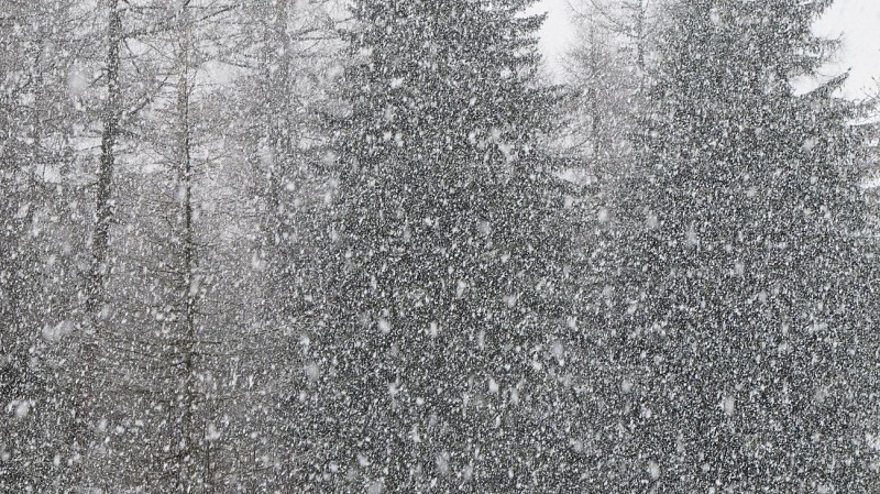 Restaurant-bar du Buet