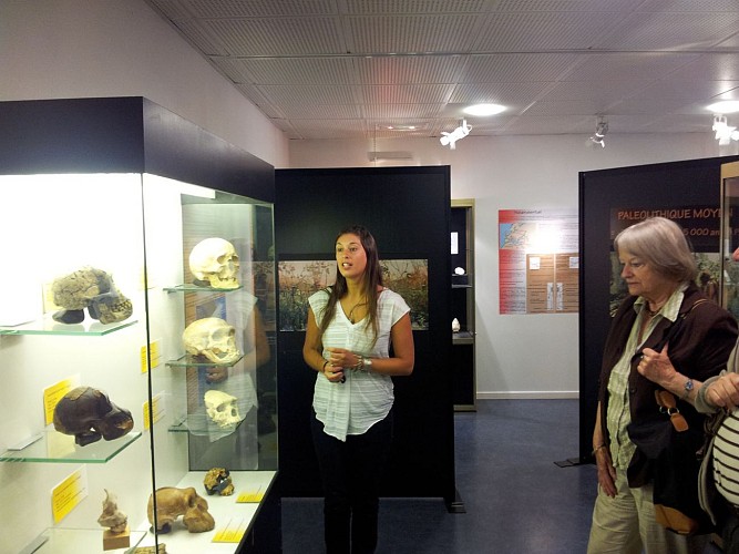 Museo de Prehistoria y Geología