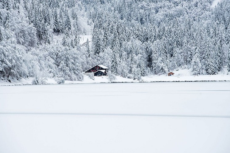 Lac de Montriond