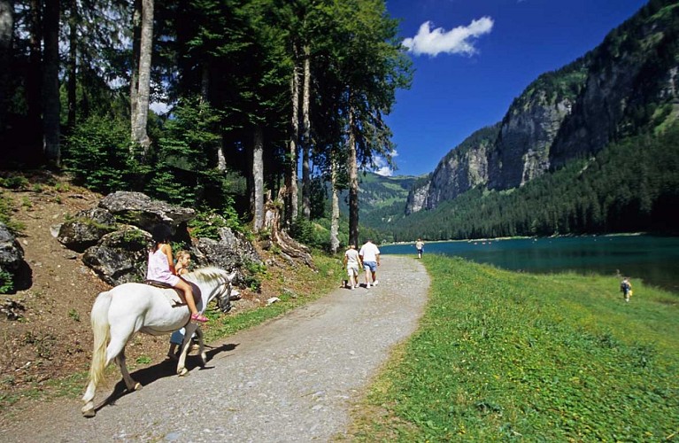 Poney riding at Montriond Lake