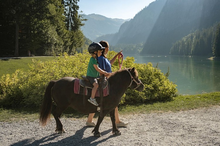 Poney riding at Montriond Lake