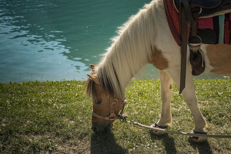 Balade à poney au Lac de Montriond