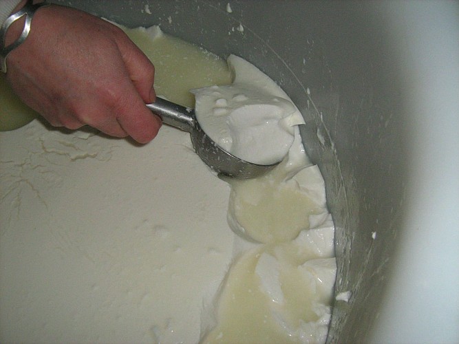 Chèvrerie du Mont Lovet - Earl