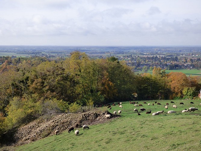 Chèvrerie du Mont Lovet - Earl