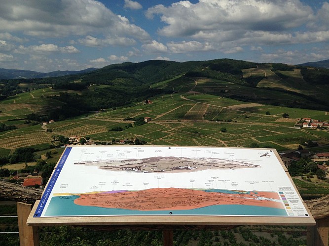 Sentier du Mont Brouilly "Boucle le sentier des bois"