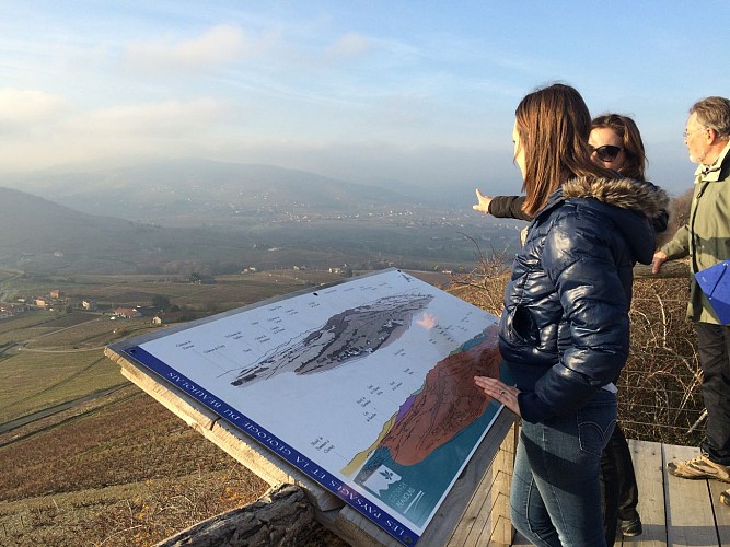 Sentier du Mont Brouilly "Boucle le sentier des bois"