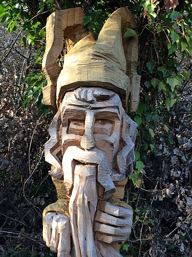 Sentier du Mont Brouilly "Boucle le sentier des bois"