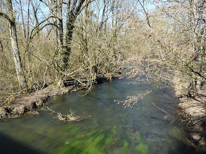 Espaces Naturels Sensibles en Val d'Essonne